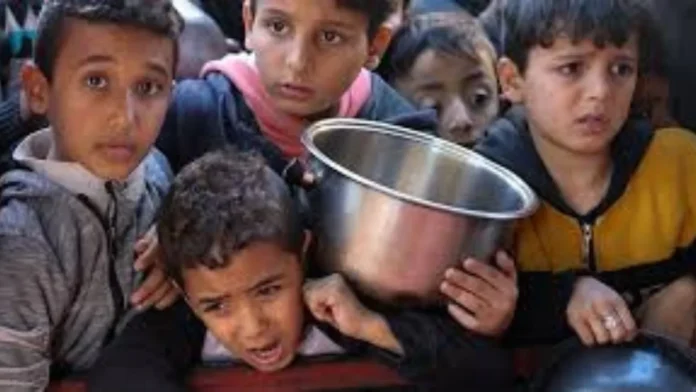 অনাহারে শিশুদের মৃত্যু বাড়ছে গাজায়, নতুন তথ্য জানাল ফিলিস্তিনি স্বাস্থ্য মন্ত্রণালয়