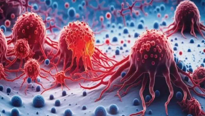 এই ৭ অভ্যাসে বাড়ছে ক্যানসারের ঝুঁকি, সতর্ক করলেন বিশেষজ্ঞরা এই ৭ অভ্যাসে বাড়ছে ক্যানসারের ঝুঁকি, সতর্ক করলেন বিশেষজ্ঞরা