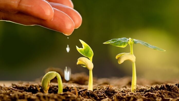 টেকসই উন্নয়নে কৃষি সংস্কার অপরিহার্য করণীয় ও সম্ভাবনা