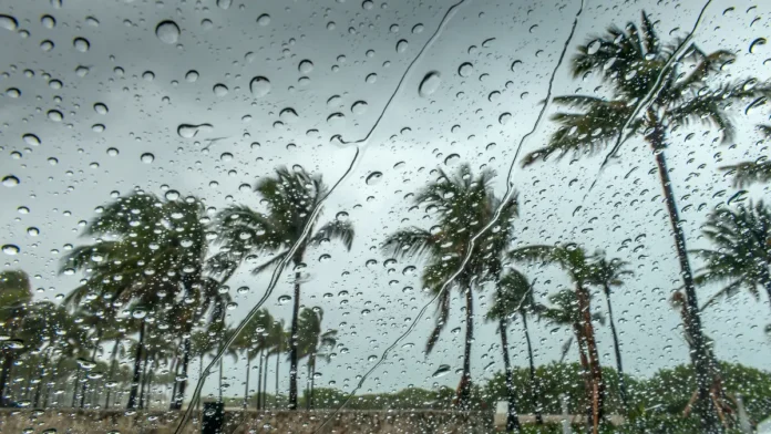 আগামীকালের আবহাওয়া (৩১ অক্টোবর ২০২৫) আগামীকালের আবহাওয়া (৩১ অক্টোবর ২০২৫)