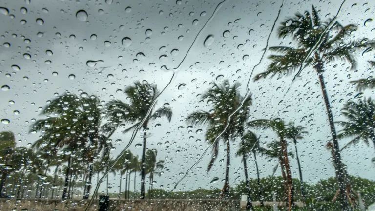আগামীকালের আবহাওয়া (৩১ অক্টোবর ২০২৫)