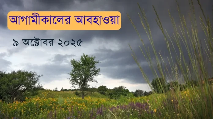 আগামীকালের আবহাওয়া ৯ অক্টোবর ২০২৫