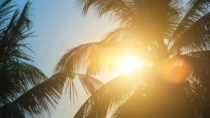 আগামীকালের আবহাওয়া ১২ নভেম্বর ২০২৫