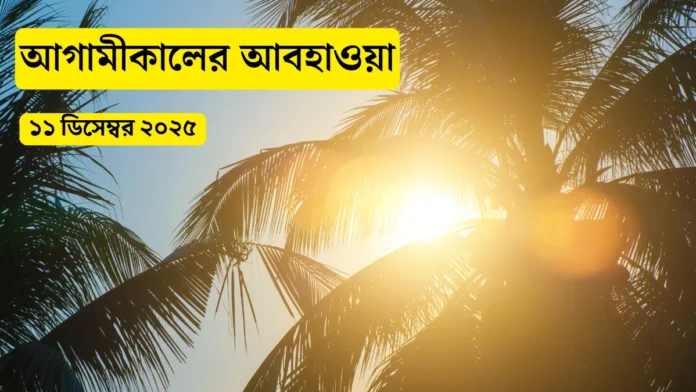 আগামীকালের আবহাওয়া ১১ ডিসেম্বর ২০২৫